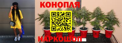 спайс Кохма